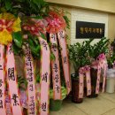 박춘근 Daum카페