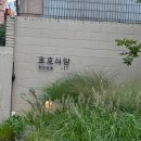 밥집식당 이미지