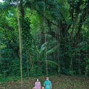 성채농원 | 카리브해 크루즈여행(Norwegian Sky) 7일차(2): 세인트키츠 네비스 - 택시투어, 바스티어(Basseterre...