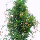 우리농원 이미지