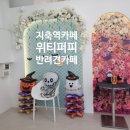 WITTY PUPPY 이미지