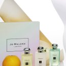 블로썸코리아 이미지