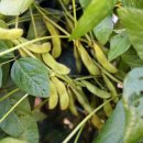 재학농장 이미지