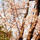 옥동 공원 1 이미지