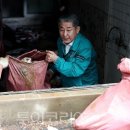 서구-01-134 이미지