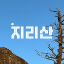 세석빌딩 | 📌지리산 1박2일 능선 산행 코스 : 거림→세석→천왕봉→중산리 실제 후기