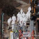 이영재농장 이미지