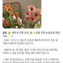 로지마이포지