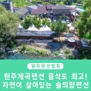 솔의향펜션