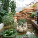 경주동궁원 이미지