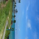 날마다좋은날 이미지