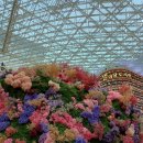 스타필드 별마당 도서관에 '5m 대형 꽃동산' 온다 이미지