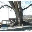 산동면 신풍마을 이미지