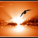 바람결 작은집 이미지