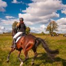 플랜-이 이미지