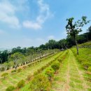 서울목장 이미지