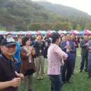 부림초등학교 이미지