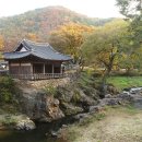 정글디자인