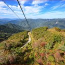 앉아서 편하게 해발 1,561m 정상까지" 100대 명산 60대도 무리 없는 힐링 명소 이미지