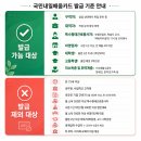 (단기_온라인)SNS이미지편집테크닉(포토샵) | 덕천 포토샵 학원 &amp; 덕천 일러스트 학원 기초부터 단기로 끝내는 국비지원 야간 마스터 과정