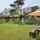 콩스빌리지 | 강화도애견펜션덕분에 우리가족 모두 힐링했죠