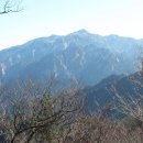 전망봉 Daum카페