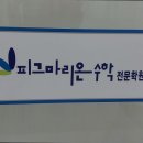 피그마리온수학