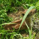 대범농장 이미지