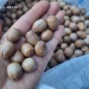 쫀득쫀득 맛있는 영양식 도토리 팥 시루떡 이미지