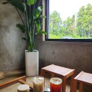 위미중학교 | [제주도여행/위미리여행]정식 맛집 &#39;밥집&#39;, 소소한 베이커리카페 &#39;라룬블루&#39; 솔직후기:)