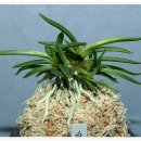 서반농장 이미지