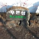 섬게스트하우스 이미지