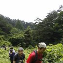 소백산자락길 이미지