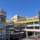 리틀베어 이미지