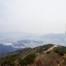 종주돼지국밥 이미지