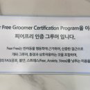 땡큐 펫 살롱 이미지