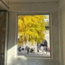 ㈜뉴서울코리아투어 | 경복궁 광화문 가을단풍길 서촌 가을나들이 서울단풍구경 은행나무 경북궁단풍카페 카멜커피 테일러커피