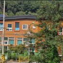 꿀참나무숲 유치원 이미지