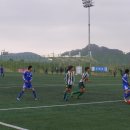곤명축구장 Daum카페