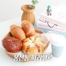 늘,예쁜개 | 광주 베이글 맛집 예쁜 카페 봉선동 씨리알르 후기