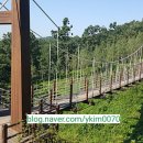 임학공원 출렁다리 이미지