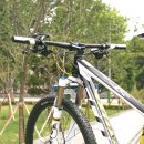 옐로우 스케일 이미지