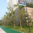 퍼스트뷰 이미지