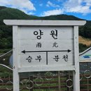 분천2리 | 태백 봉화 백두대간협곡열차 예약방법 좌석 후기