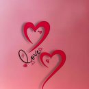 천년의사랑 이미지