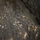 여수 아일리아 펜션 이미지