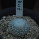 성호농장2 이미지