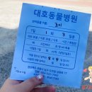 문덕동물병원 이미지