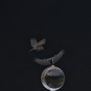 만의골로 이미지