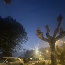 Day 8 : Camino del Norte